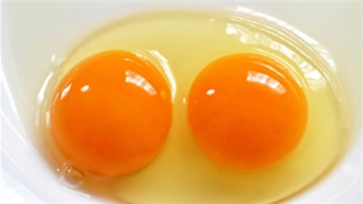 Trứng đập ra lòng đỏ còn có độ nhô cao như này là có thể sử dụng được (Ảnh minh họa: internet)