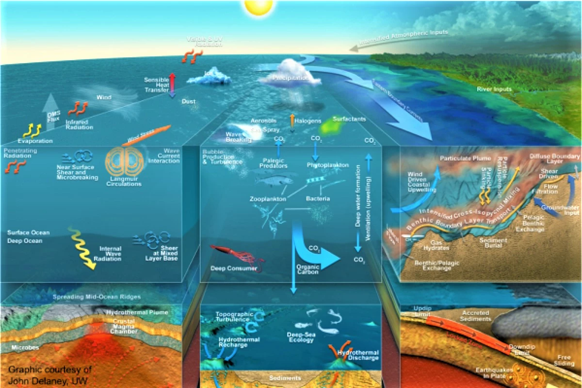 Lĩnh vực nghiên cứu của Hải dương học rất rộng, phục vụ cuộc sống con người; Nguồn: hydro-international.com