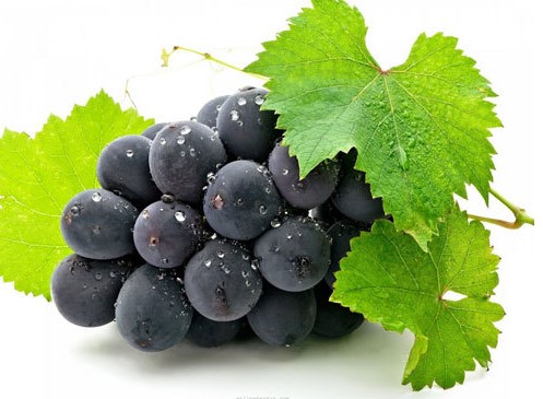 Phòng ngừa ung thư lưỡi từ nho, lá trà xanh, lá đu đủ