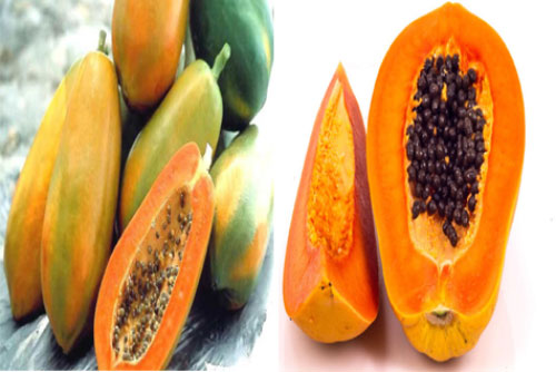 Bí quyết chọn đu đủ không bị thuốc kích chín