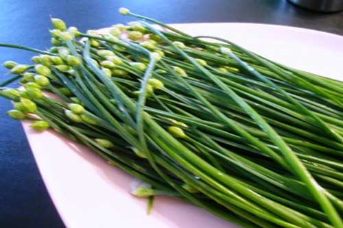 7 lợi ích sức khỏe không ngờ của hành và hẹ