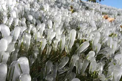 Bất ngờ với những khoảnh khắc lạ lùng trong cuộc sống