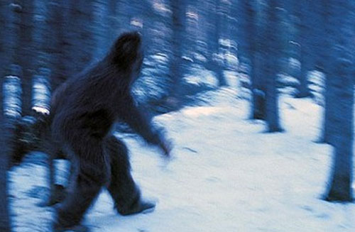 Khả năng người tuyết "tồn tại" là 95%