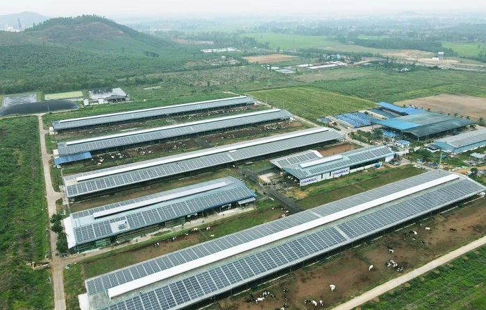 Năng lượng mặt trời đã được đưa vào sử dụng tại trang trại Vinamilk Bình Định từ đầu năm 2021.