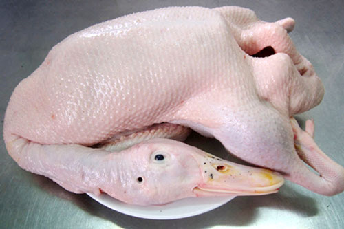 Bí quyết chọn vịt ngon không nuôi tăng trọng, không tiêm nước