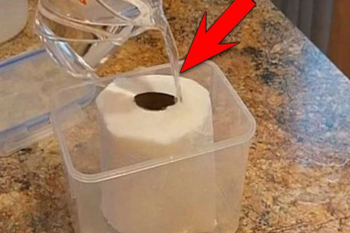 Đổ giấm vào cuộn giấy vệ sinh: Mẹ chồng vừa nhìn đã phát cáu nhưng khi biết lý do ai cũng giật mình