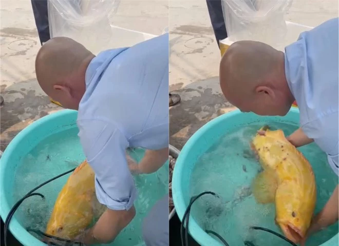 Con cá mú biển vàng óng được trả giá gần 10 nghìn USD vẫn không bán - Ảnh 3.