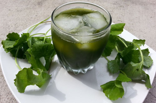 Cách chữa nhiệt miệng nhanh tại nhà bằng những thực phẩm 'cực mát' chưa đến 10.000 đồng