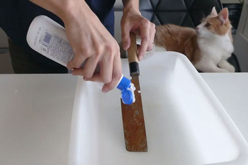 Dao cùn rỉ sét đến mấy cũng sáng bóng, sắc lẹm nhờ cách làm cực đơn giản này