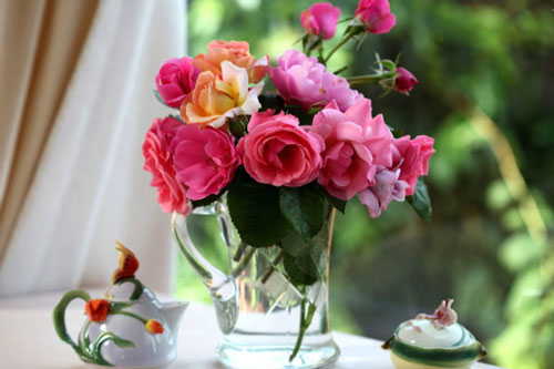 Mẹo "thần thánh" giúp hồi sinh hoa héo đúng trong 3 giây