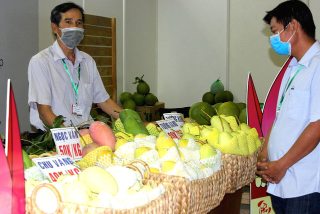 Nông sản Việt vật lộn với 'bài toán' chi phí