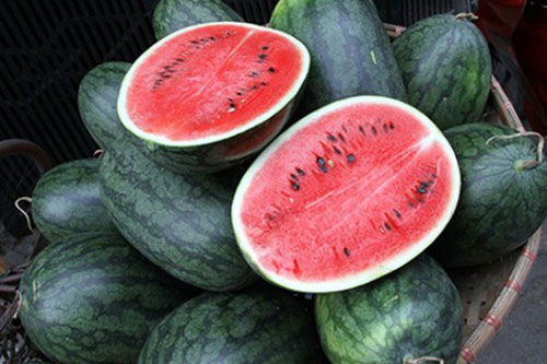 Tuyệt chiêu chọn dưa hấu mỏng vỏ, ngon ngọt như ý