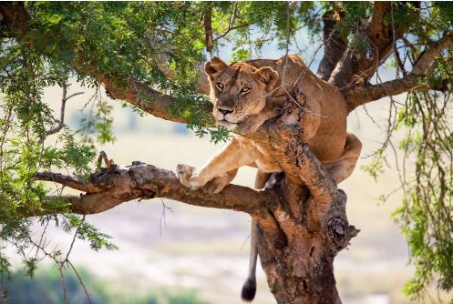 Mãn nhãn với loạt ảnh tuyệt đẹp xung quanh chúng ta