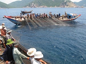 Quảng Bình: Hỗ trợ trên 14,2 tỷ đồng cho các tàu cá đánh bắt ở vùng biển xa 