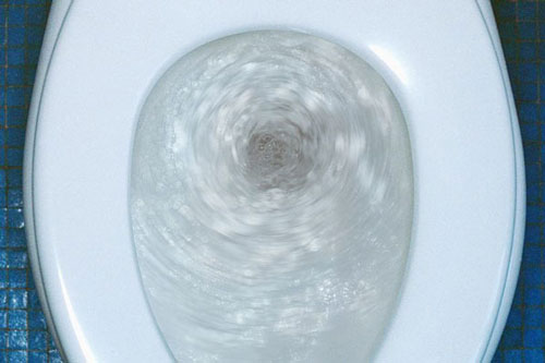 Không đậy nắp bồn cầu khi xả nước, bạn đã rước một đống vi khuẩn vào người