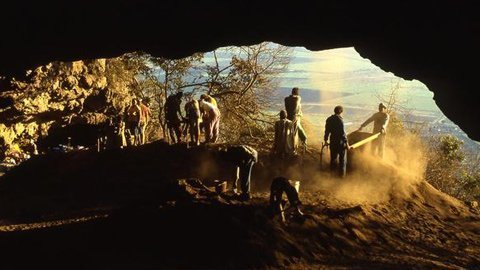 Con người biết dùng độc từ khi nào?