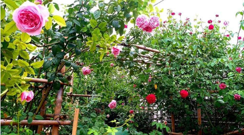 Mỗi ngày tôi đưa 100 nghìn đồng đi chợ, vợ vẫn khó chịu kêu ca