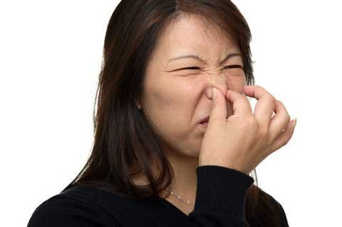 Nghề độc đáo nhất thế giới: Ngửi... rắm