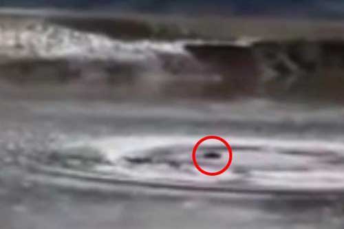 Quái vật hồ Loch Ness xuất hiện tại Trung Quốc?