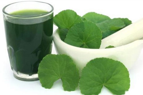Dùng nước rau má giải nhiệt sai cách thêm bệnh vào thân