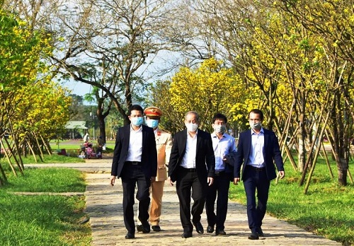 Xây dựng Thừa Thiên Huế trở thành “Xứ sở Mai vàng” của Việt Nam