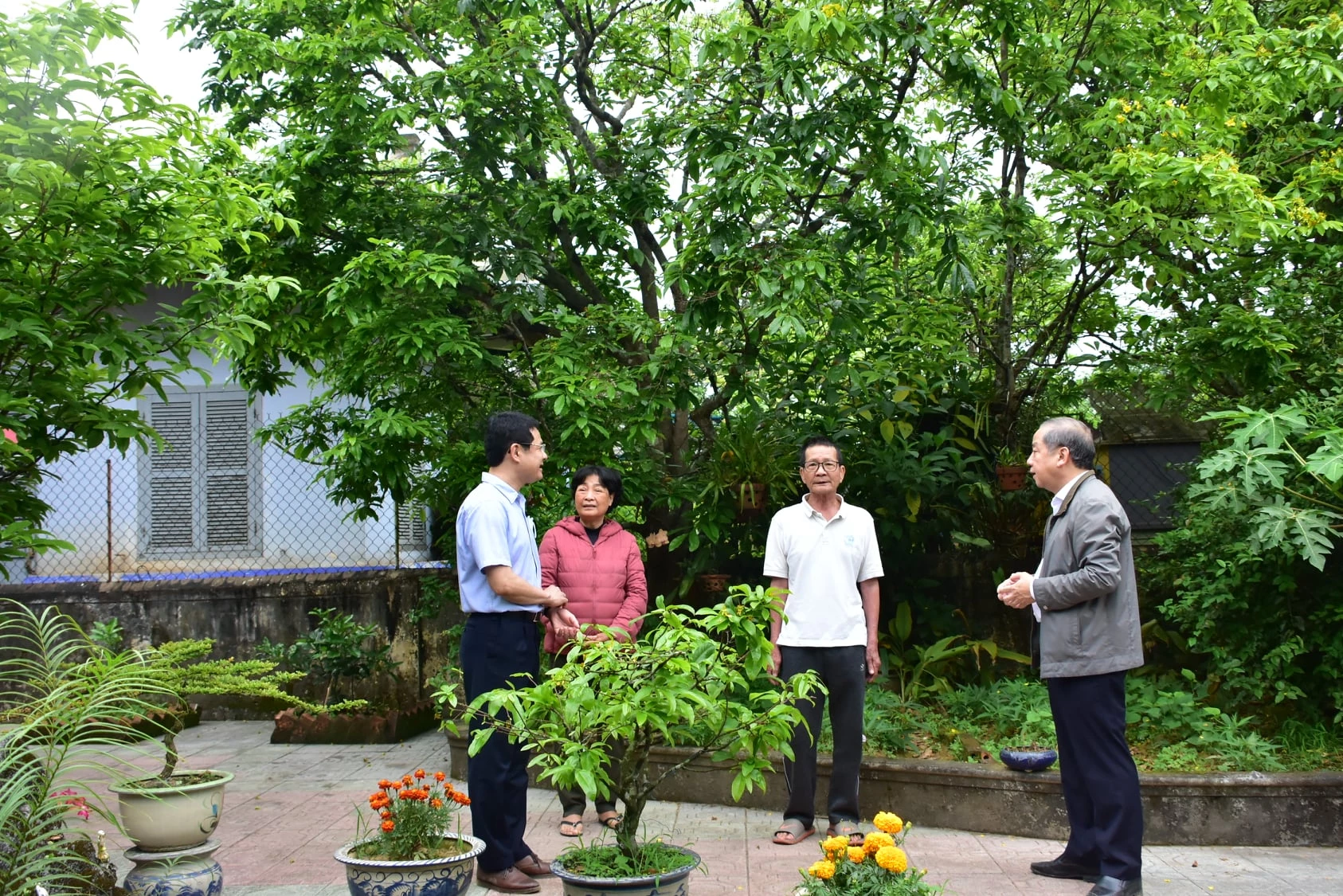 Chủ tịch UBND tỉnh Thừa Thiên Huế Phan Ngọc Thọ đến thăm các hộ dân trồng mai vàng trong khu vực Nội thành Huế.