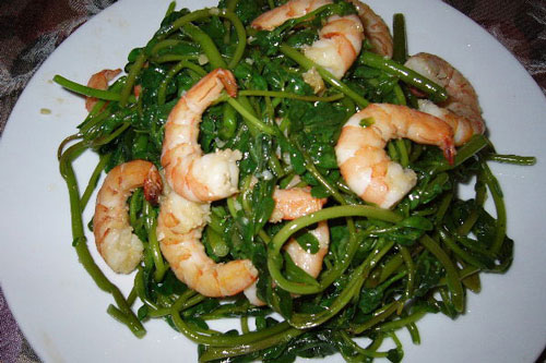 Loại rau trường thọ được cả thế giới săn lùng nhưng người Việt lại đang thờ ơ ném bỏ