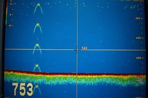 Quái vật hồ Loch Ness lại xuất hiện một cách bí ẩn