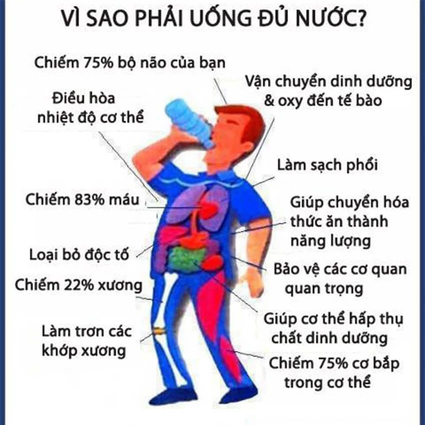 vai-tro-cua-nuoc-1