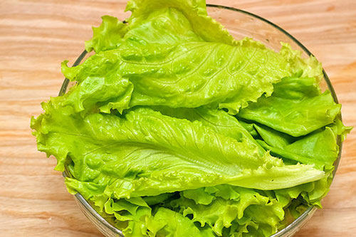 Tại sao ăn rau xà lách có thể giúp bạn giảm cân?