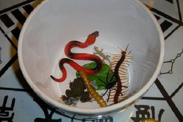 Giải mã bí ẩn kinh dị thuật luyện cổ trùng và 2 thảm án vu cổ thời Hán Vũ Đế