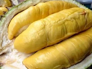 6 loại thực phẩm thiên nhiên giúp kéo dài tuổi thọ và phòng chống ung thư hiệu quả hàng đầu