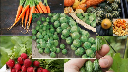 Sắp diễn ra sự kiện trình diễn và chế biến 100 món ăn ngon từ rau, củ, quả và hoa Đà Lạt