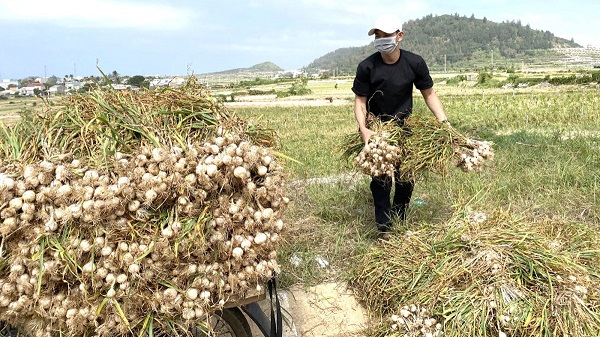 Tưởng VNPT và VNPost là một, Lý Sơn xin lỗi VNPT về đề nghị hỗ trợ ngăn chặn tỏi giả 