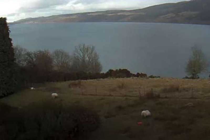 Quái vật hồ Loch Ness xuất hiện 4 lần trong đầu năm 2021