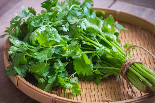 Loại rau thơm có thể chữa bệnh thận, gan và nội tạng bán đầy ngoài chợ