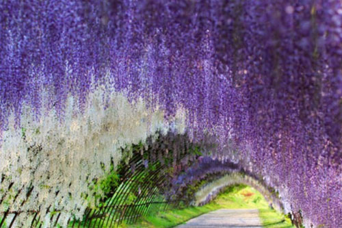 Top 10 kỳ quan tuyệt đẹp trên thế giới có thể bạn chưa biết