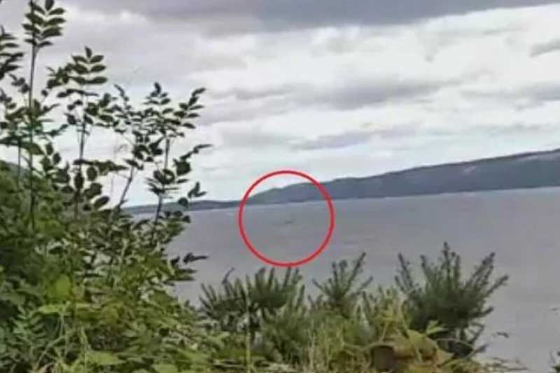 Bức ảnh được cho là quái vật hồ Loch Ness.