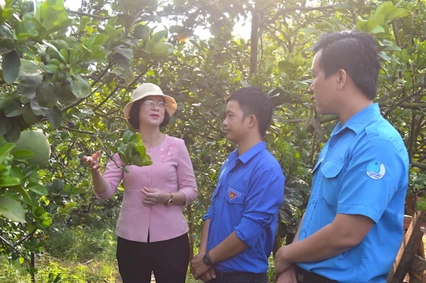 Phó Chủ tịch UBND tỉnh Bình Phước Trần Tuyết Minh (bìa trái) và Phó Bí thư Tỉnh Đoàn Trần Hoàng Trực (bìa phải) thăm mô hình trồng bưởi da xanh của đoàn viên Nguyễn Huy Đông, xã Long Giang, TX. Phước Long.