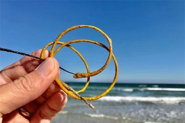 Sinh vật lạ ngoài đời thực giống ‘đống dây thừng’ nằm trên bãi biển