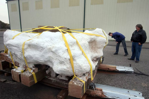 Khối đá nuốt chửng và "niêm phong" 20 quái thú suốt 136 triệu năm