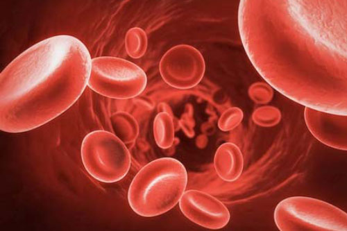 Ăn thực phẩm đâu cũng có, rẻ như cho này cả đời bạn không lo bị thiếu máu