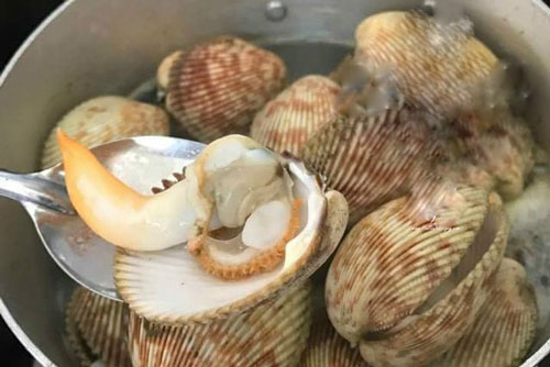 Muốn nghêu, sò, ốc, hến nhả sạch không còn 1 hạt cát bẩn, đây là cách vừa nhanh vừa đơn giản nhất