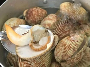 Muốn nghêu, sò, ốc, hến nhả sạch không còn 1 hạt cát bẩn, đây là cách vừa nhanh vừa đơn giản nhất