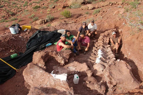 Một bộ hài cốt "quái thú" titanosaur được khai quật tại Argentina, ảnh của lần khai quật này vẫn chưa được công bố - Ảnh: CNN