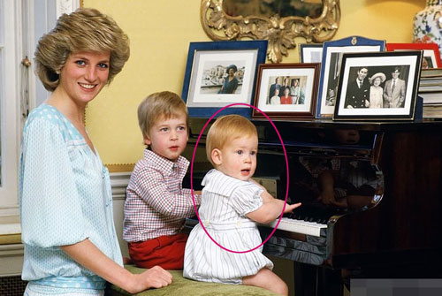 Công nương Diana thực sự thích Hoàng tử Harry, người đã rời hoàng gia?
