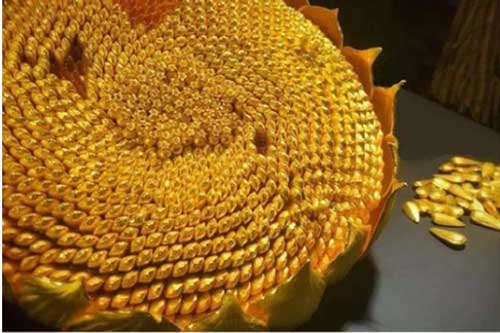 Hoàng thượng ban thưởng 'hạt dưa vàng' là có ý gì? Tại sao có thể làm triều thần vui vẻ, phi tần ngất ngây?