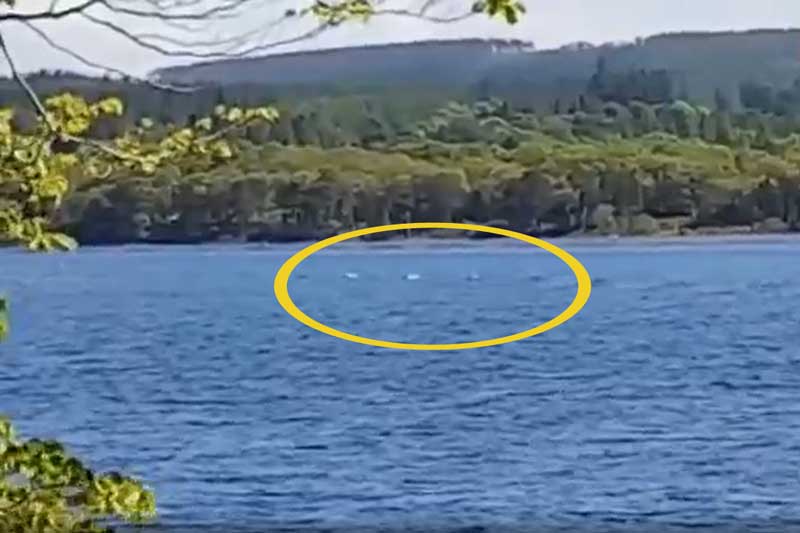 Tận mắt trông thấy cả đàn quái vật hồ Loch Ness ngoi lên mặt nước