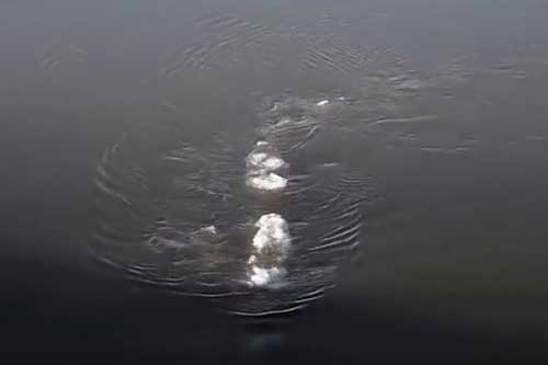 Quái vật hồ Loch Ness di cư đến Alaska, Mỹ?