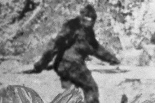 Một nhân chứng cho biết mình đã gặp sinh vật huyền bí giống như 'người rừng', đáng sợ hơn nó còn có khả năng xuyên không!